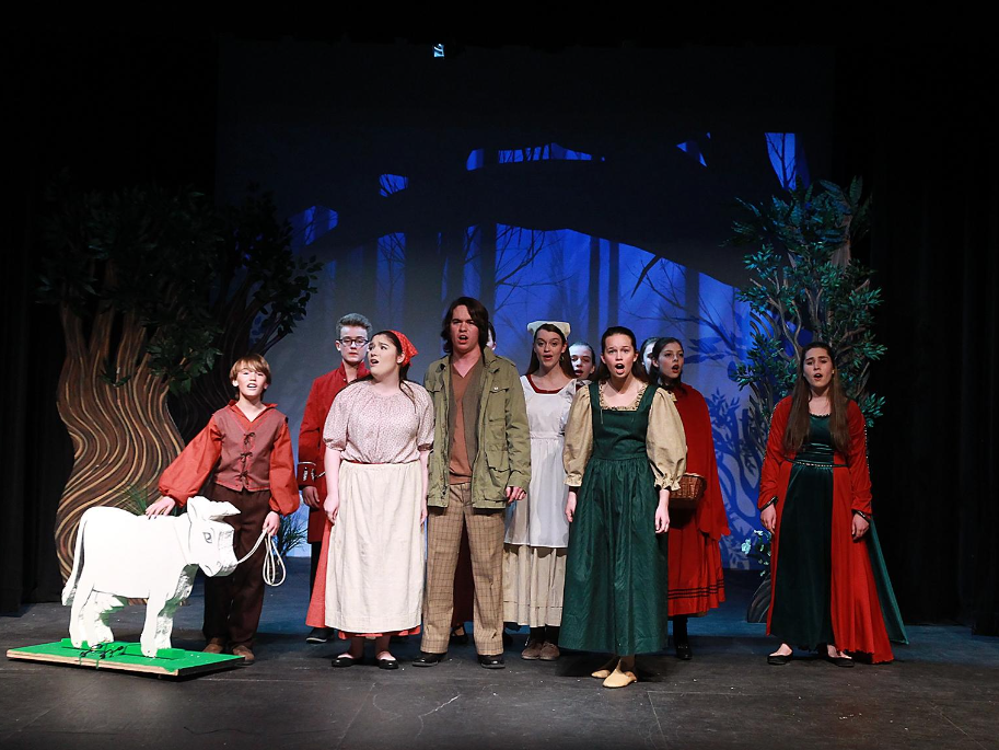 Into the Woods JR. production photo, Cohasset Drama Club