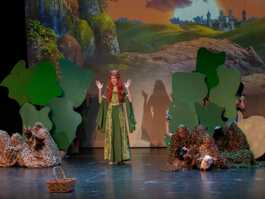 Shrek The Musical production photo